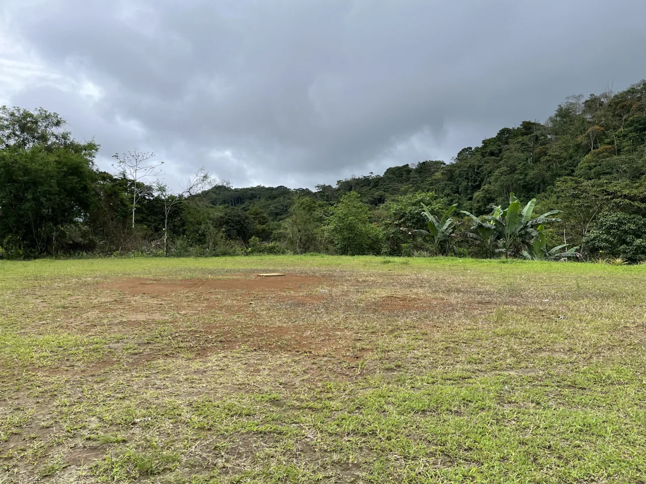 Farm Land for Sale in San Vito Costa Rica – 6,111 m² Near La Amistad Park – Stream, Buildable, Fertile Soil, photo 14