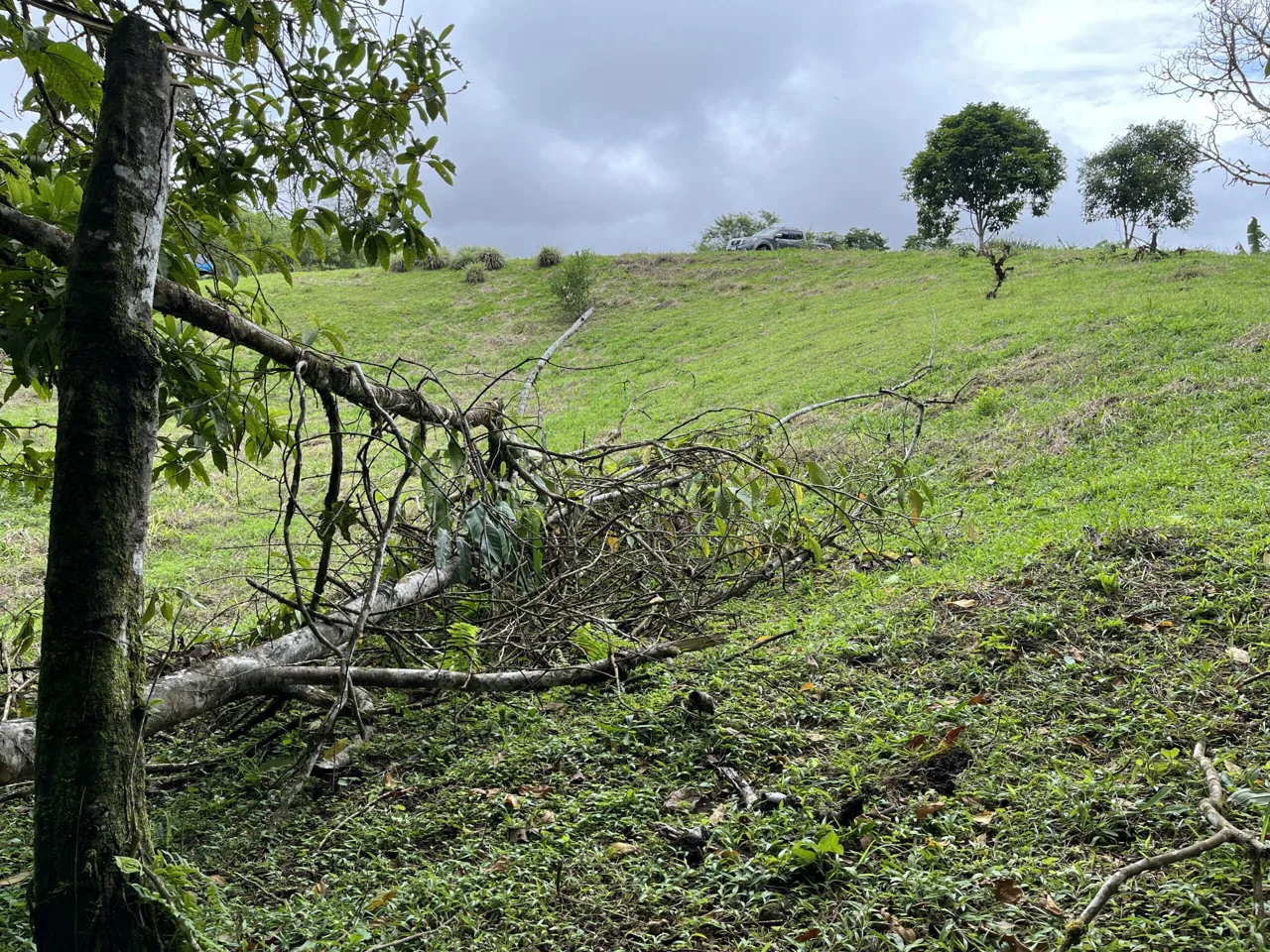 Farm Land for Sale in San Vito Costa Rica – 6,111 m² Near La Amistad Park – Stream, Buildable, Fertile Soil, photo 6