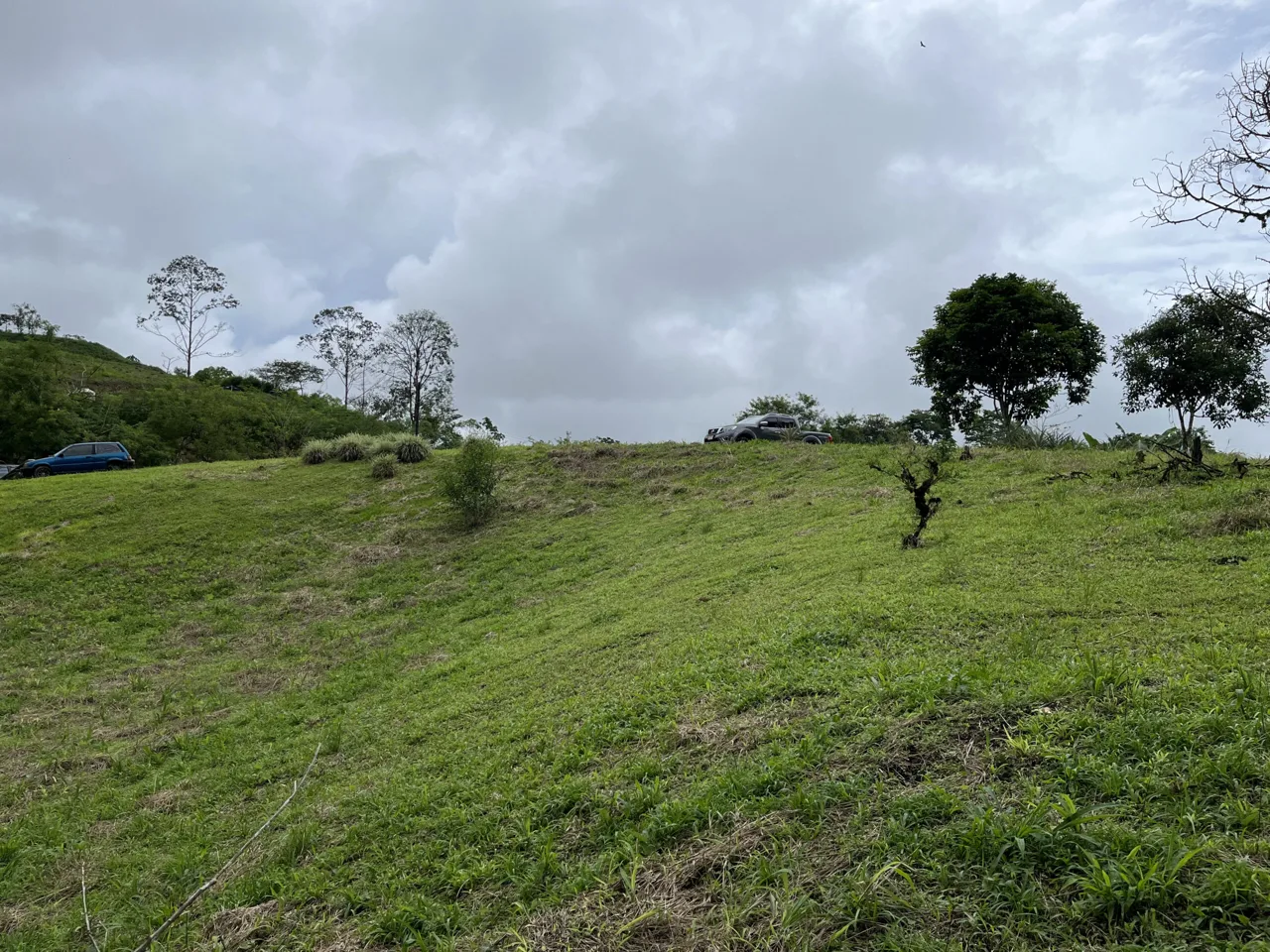 Farm Land for Sale in San Vito Costa Rica – 6,111 m² Near La Amistad Park – Stream, Buildable, Fertile Soil, photo 7