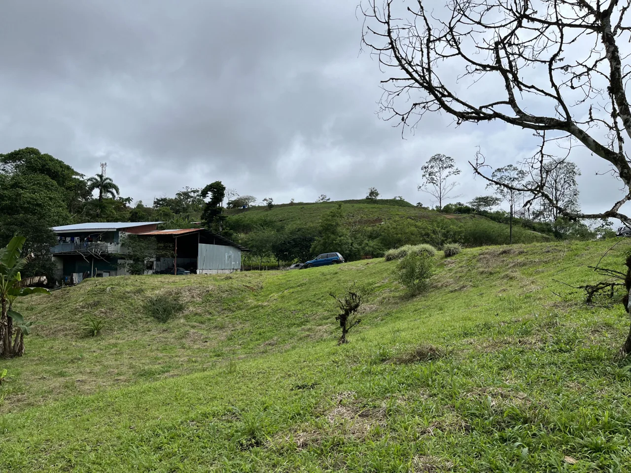 Farm Land for Sale in San Vito Costa Rica – 6,111 m² Near La Amistad Park – Stream, Buildable, Fertile Soil, photo 8