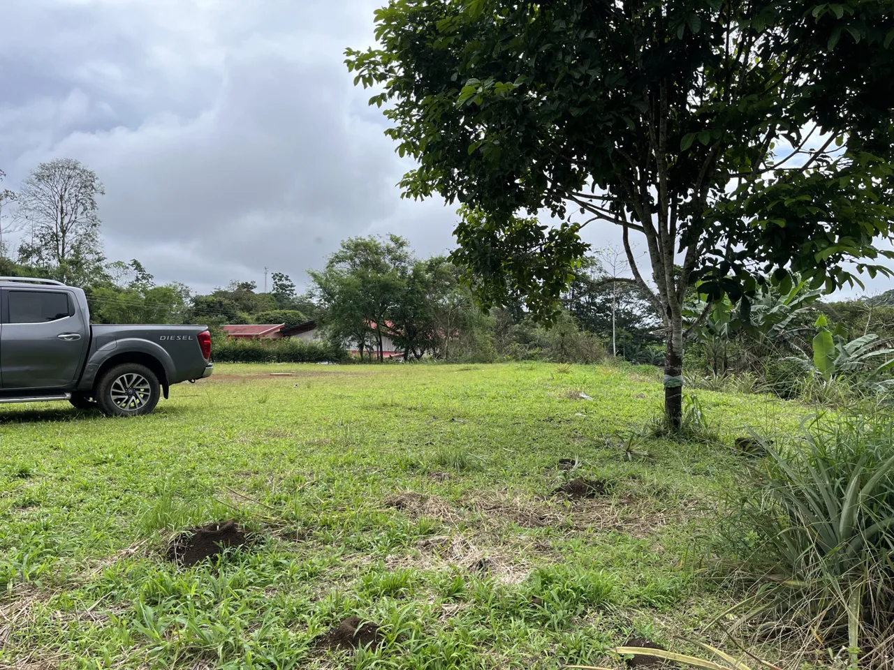Farm Land for Sale in San Vito Costa Rica – 6,111 m² Near La Amistad Park – Stream, Buildable, Fertile Soil, photo 10