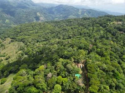 PROPERTY WITH ONE BEDROOM HOME AND EXTRA LOT BUILDING WITH NATURE VIEWS, IN LA FLORIDA BARU – 2.5 ACRES, photo 23