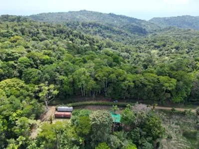 PROPERTY WITH ONE BEDROOM HOME AND EXTRA LOT BUILDING WITH NATURE VIEWS, IN LA FLORIDA BARU – 2.5 ACRES, photo 24