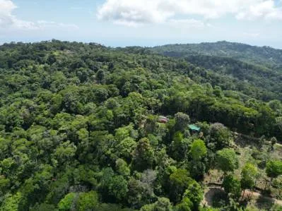 PROPERTY WITH ONE BEDROOM HOME AND EXTRA LOT BUILDING WITH NATURE VIEWS, IN LA FLORIDA BARU – 2.5 ACRES, photo 27