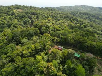 PROPERTY WITH ONE BEDROOM HOME AND EXTRA LOT BUILDING WITH NATURE VIEWS, IN LA FLORIDA BARU – 2.5 ACRES, photo 28