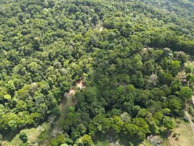 PROPERTY WITH ONE BEDROOM HOME AND EXTRA LOT BUILDING WITH NATURE VIEWS, IN LA FLORIDA BARU – 2.5 ACRES, photo 29