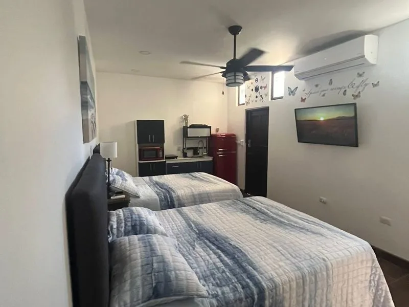 4 Bed Single Family Homes For Sale in Jaco, photo 11
