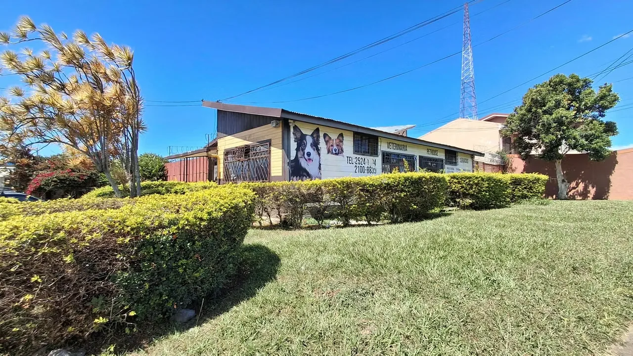Mixed-Use Property for Sale in Zapote | Prime Investment Opportunity, photo 7