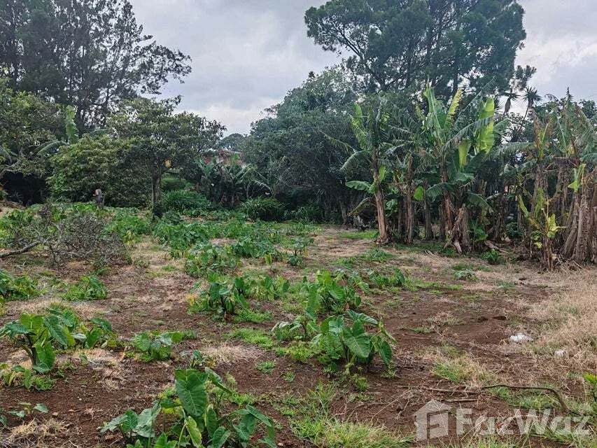 Land for Sale in San Rafael, Heredia for $764,000, photo 5