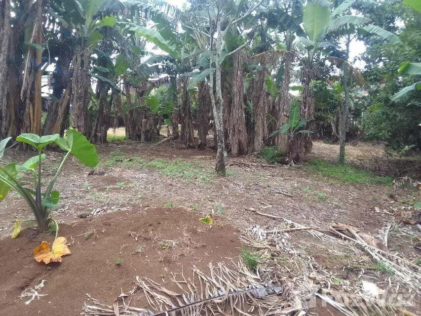 Land for Sale in San Rafael, Heredia for $764,000, photo 6