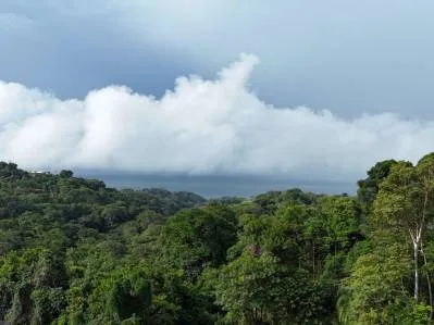 Exceptional Ocean & Mountain View Property in Pinuela Arriba, Costa Rica, photo 19