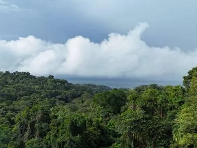 Exceptional Ocean & Mountain View Property in Pinuela Arriba, Costa Rica, photo 20