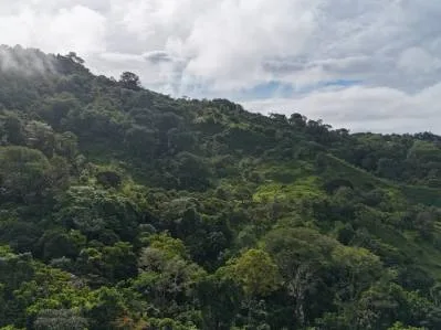 Exceptional Ocean & Mountain View Property in Pinuela Arriba, Costa Rica, photo 21