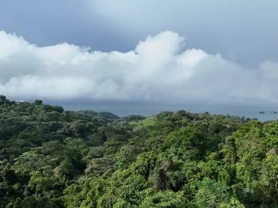 Exceptional Ocean & Mountain View Property in Pinuela Arriba, Costa Rica, photo 22