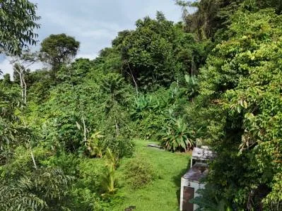 Exceptional Ocean & Mountain View Property in Pinuela Arriba, Costa Rica, photo 23
