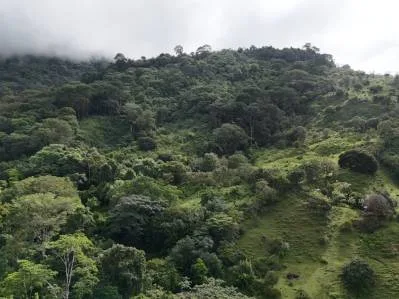 Exceptional Ocean & Mountain View Property in Pinuela Arriba, Costa Rica, photo 24