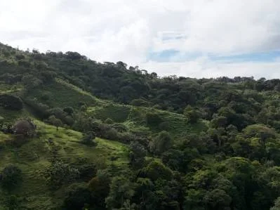 Exceptional Ocean & Mountain View Property in Pinuela Arriba, Costa Rica, photo 25