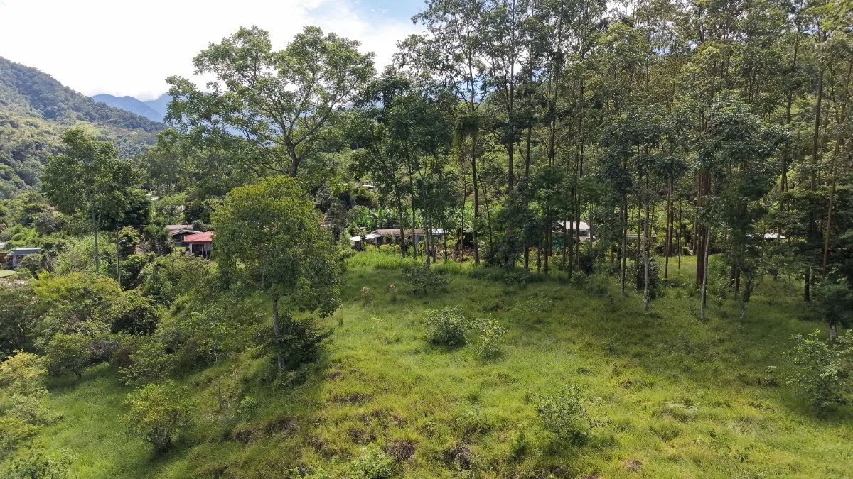 SE VENDE TERRENO LISTO PARA CONSTRUIR CON ARROYO NATURAL Y VISTAS A LAS MONTAÑAS - Venta en Pérez Zeledón