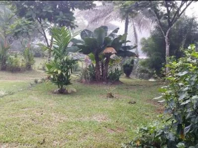 Propiedad  en Cariari, Pococí – 6 Habitaciones y Vistas Naturales Cerca de Tortuguero, photo 6