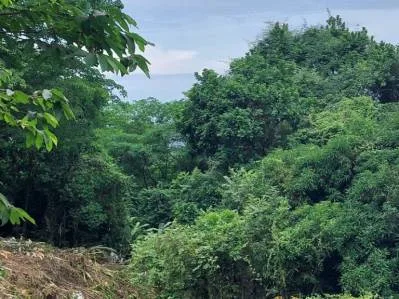 Lote de 3 acres con vista al mar y al río en Tres Ríos(Fase 3) Agua legal en el lugar, cerca Ojochal, photo 2