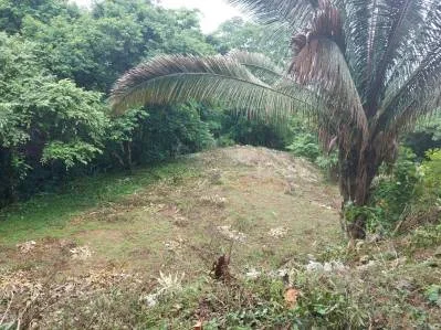 Lote de 3 acres con vista al mar y al río en Tres Ríos(Fase 3) Agua legal en el lugar, cerca Ojochal, photo 4
