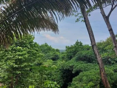 Lote de 3 acres con vista al mar y al río en Tres Ríos(Fase 3) Agua legal en el lugar, cerca Ojochal, photo 5