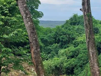Lote de 3 acres con vista al mar y al río en Tres Ríos(Fase 3) Agua legal en el lugar, cerca Ojochal, photo 6