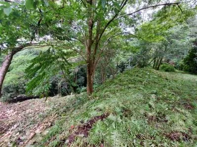 Lote de 3 acres con vista al mar y al río en Tres Ríos(Fase 3) Agua legal en el lugar, cerca Ojochal, photo 7