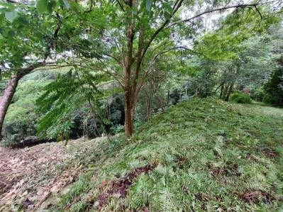 Lote de 3 acres con vista al mar y al río en Tres Ríos(Fase 3) Agua legal en el lugar, cerca Ojochal, photo 8