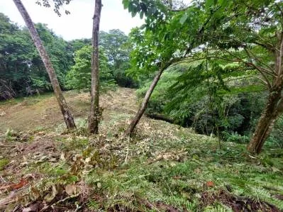 Lote de 3 acres con vista al mar y al río en Tres Ríos(Fase 3) Agua legal en el lugar, cerca Ojochal, photo 10
