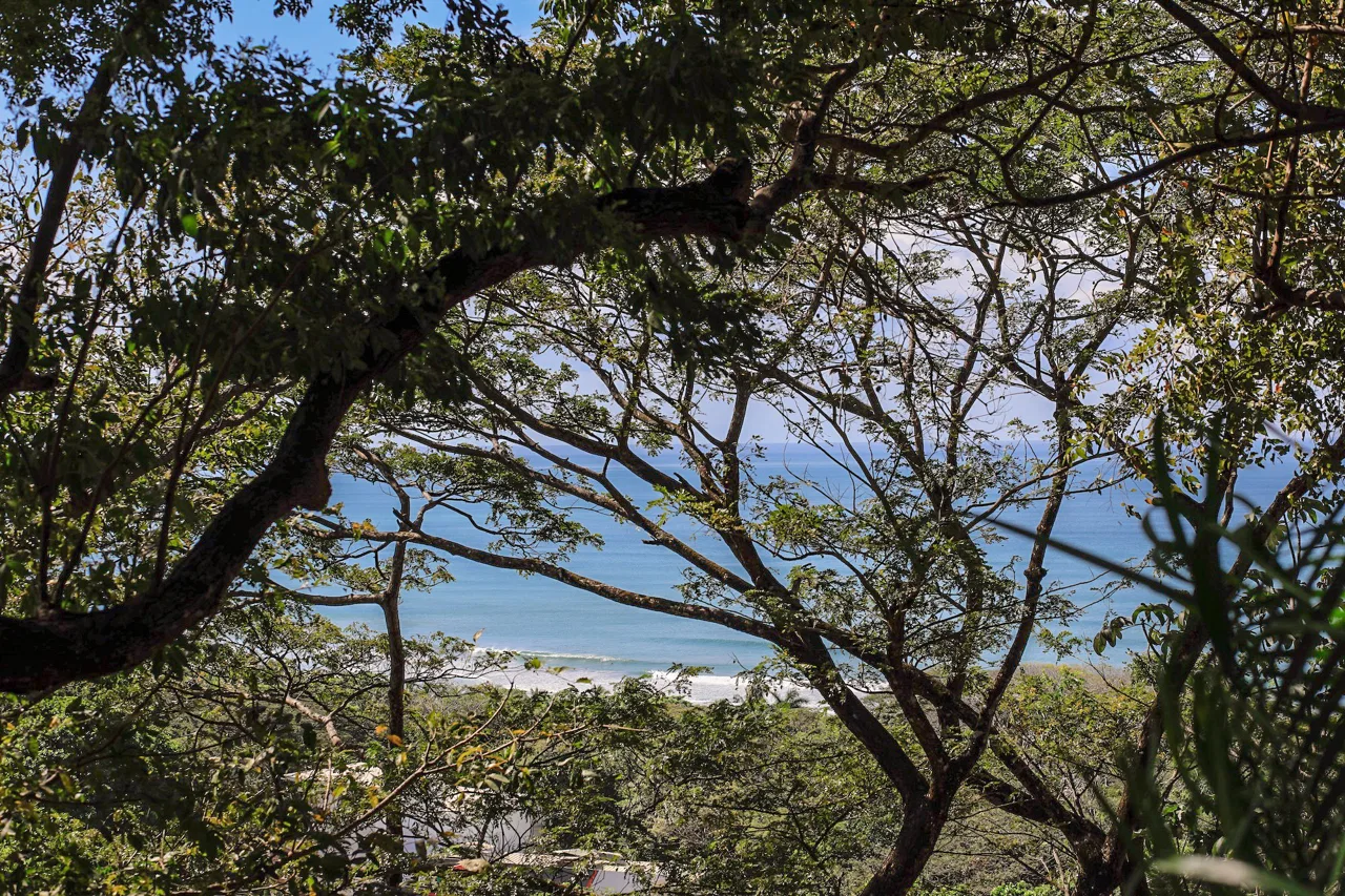 Walking distance to the beach! Ocean View Tropical Home