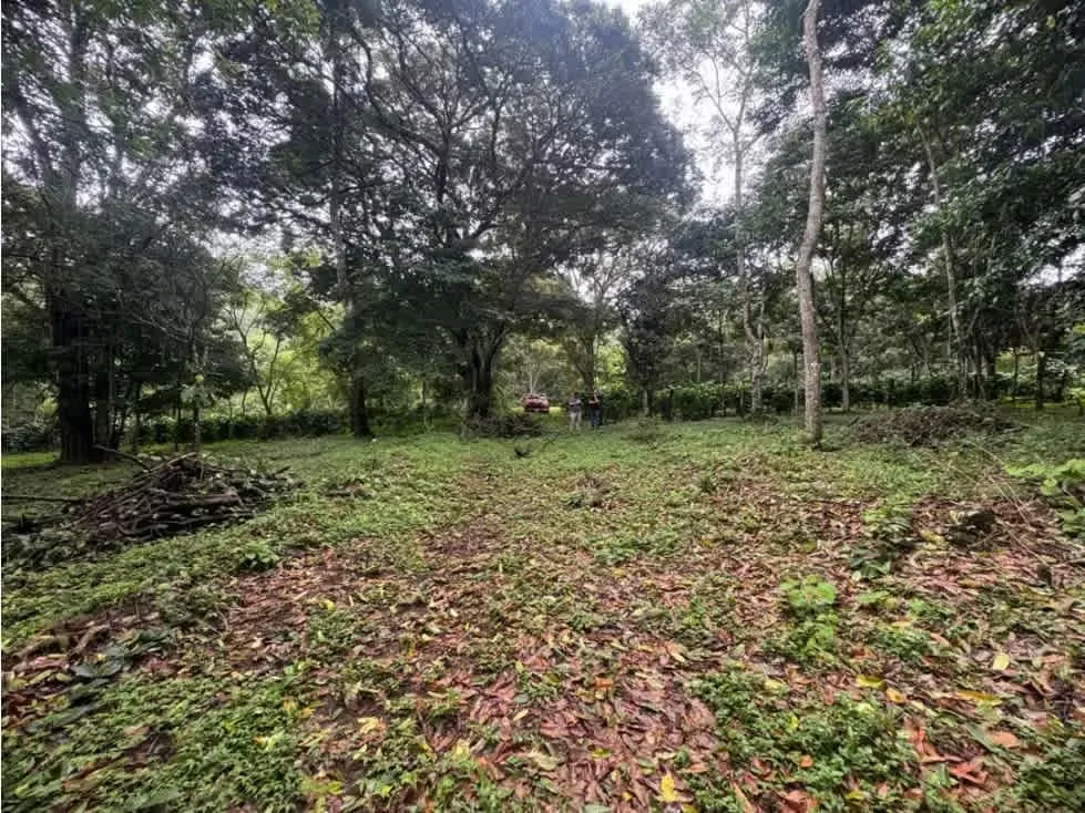 Terreno en Venta – Bajo San José, Atenas, Alajuela, photo 6