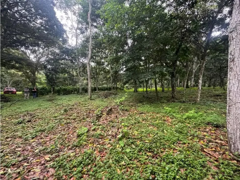 Terreno en Venta – Bajo San José, Atenas, Alajuela, photo 7