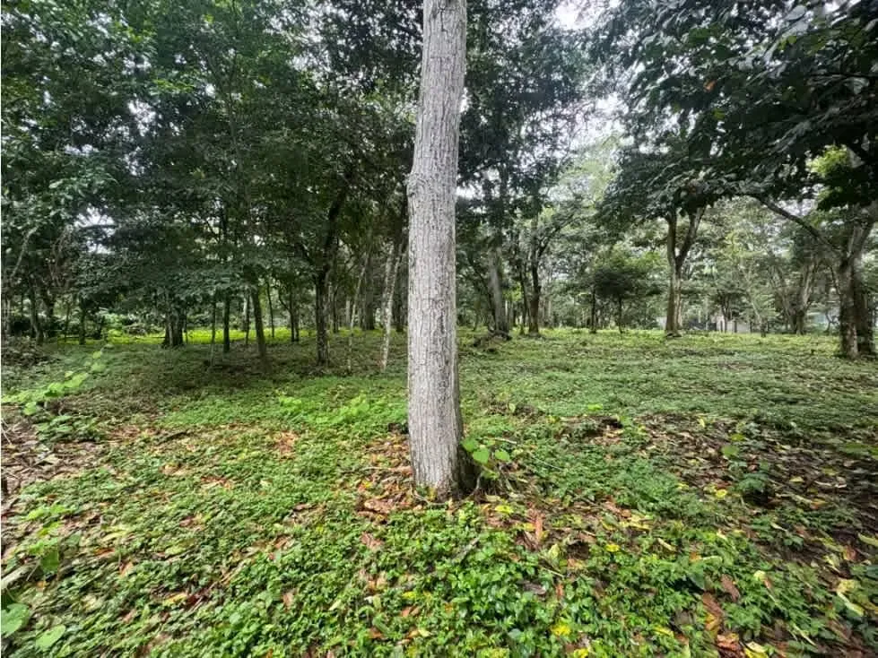 Terreno en Venta – Bajo San José, Atenas, Alajuela, photo 8