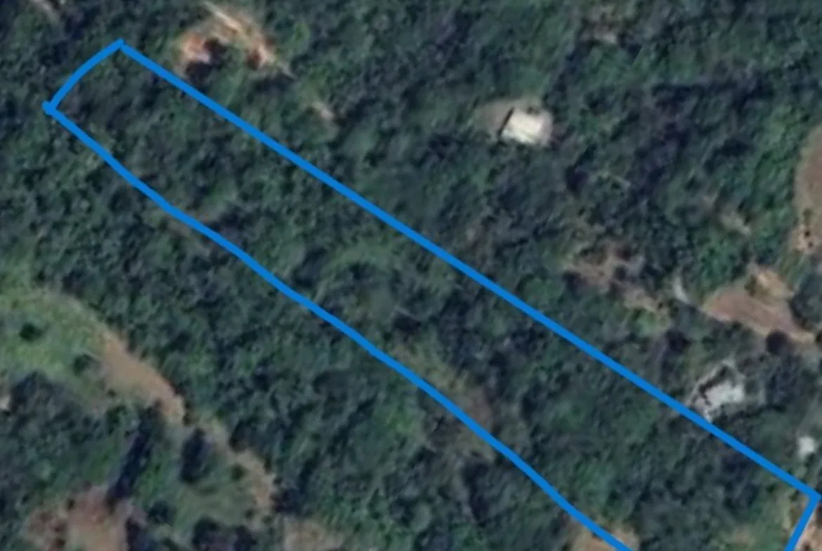 BUILDING PROPERTY WITH PUBLIC ROAD IN FRONT, IN OJOCHAL – 8.32 ACRES, photo 2