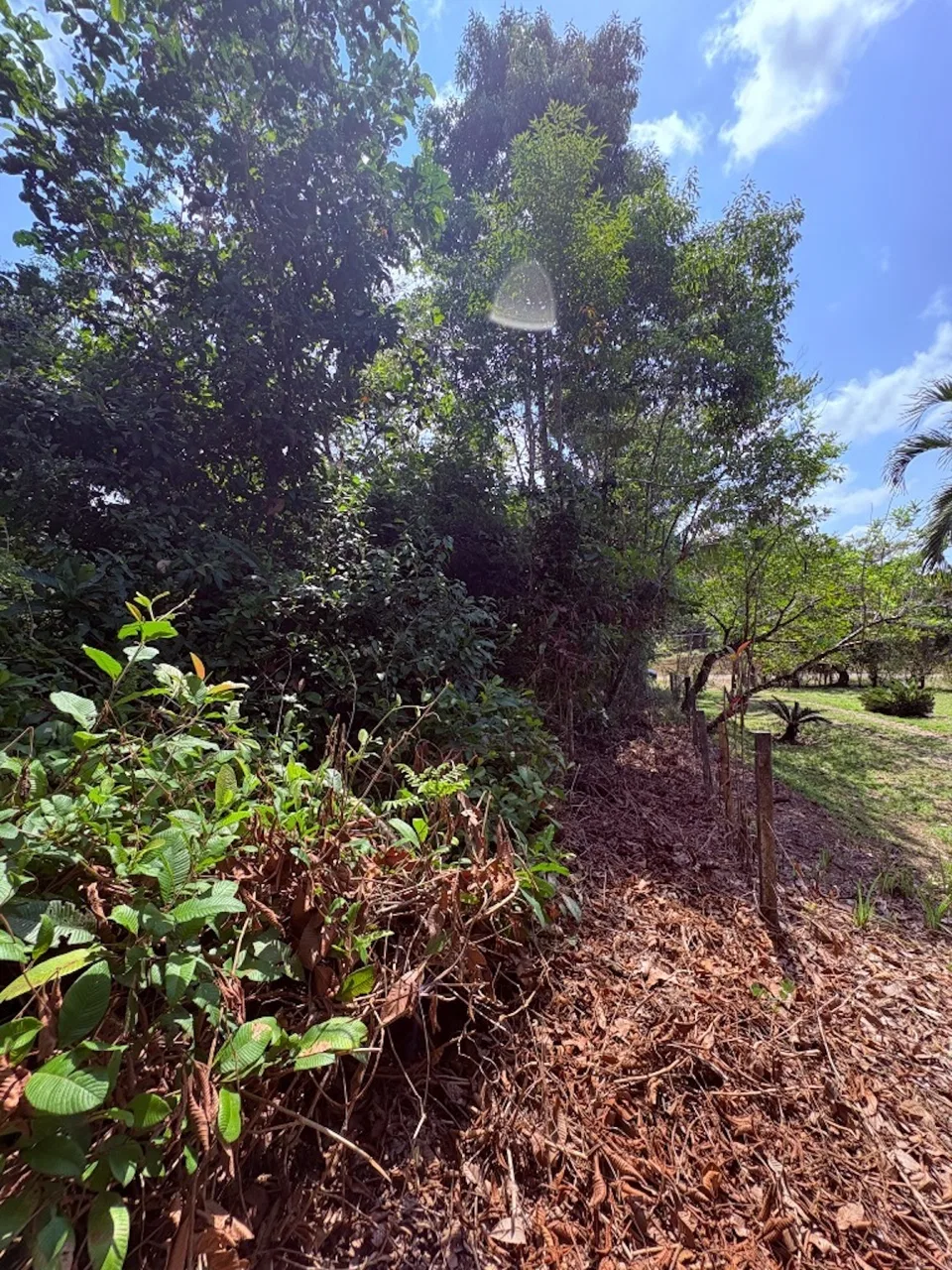 BUILDING PROPERTY WITH PUBLIC ROAD IN FRONT, IN OJOCHAL – 8.32 ACRES, photo 13