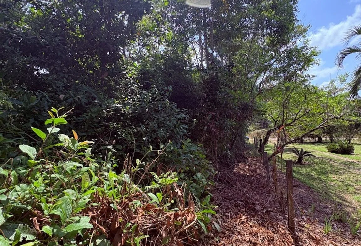 BUILDING PROPERTY WITH PUBLIC ROAD IN FRONT, IN OJOCHAL – 8.32 ACRES, photo 14