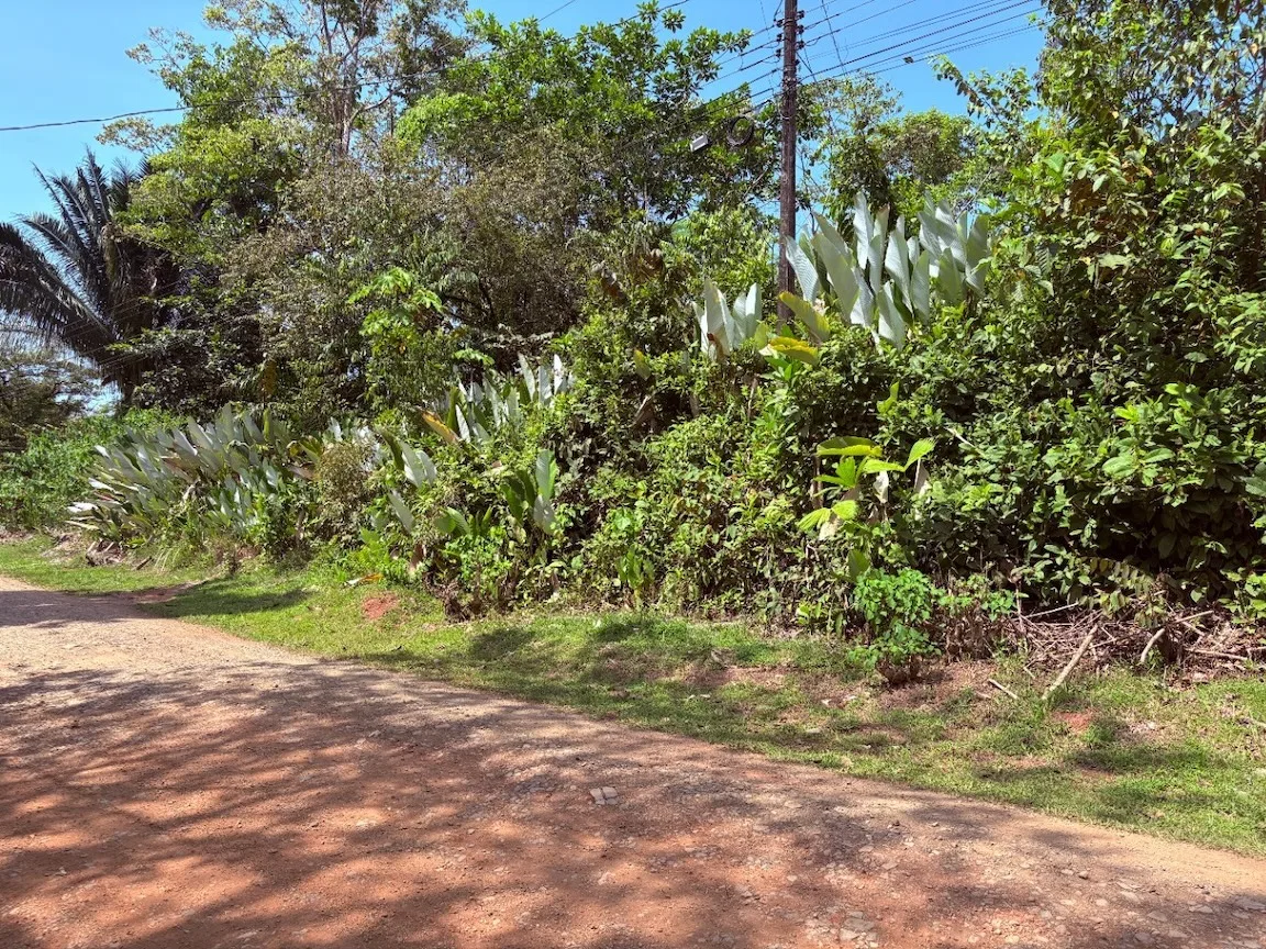 BUILDING PROPERTY WITH PUBLIC ROAD IN FRONT, IN OJOCHAL – 8.32 ACRES, photo 3