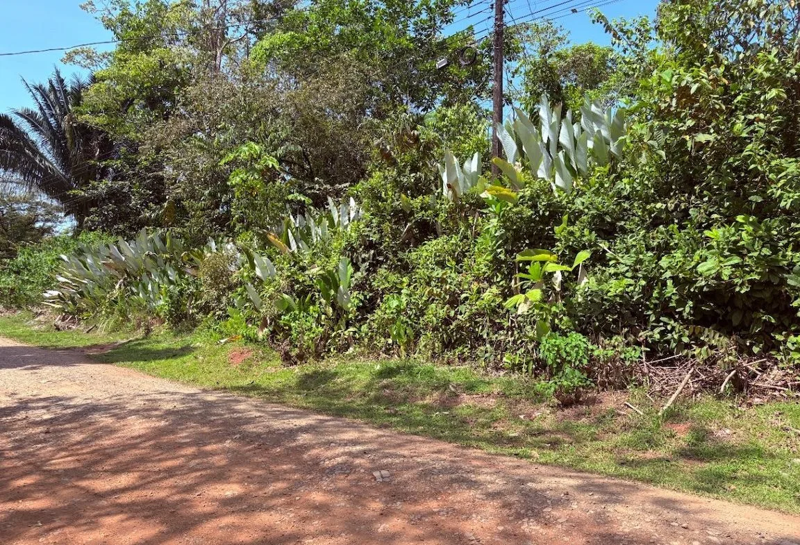 BUILDING PROPERTY WITH PUBLIC ROAD IN FRONT, IN OJOCHAL – 8.32 ACRES, photo 4