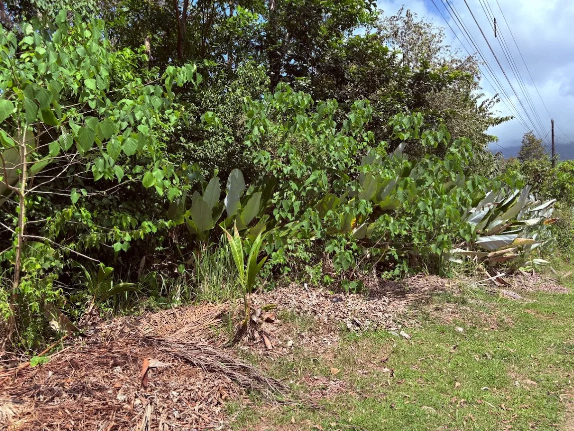 BUILDING PROPERTY WITH PUBLIC ROAD IN FRONT, IN OJOCHAL – 8.32 ACRES, photo 5