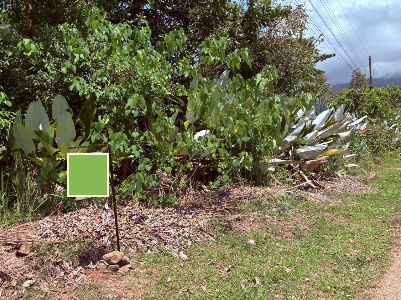 BUILDING PROPERTY WITH PUBLIC ROAD IN FRONT, IN OJOCHAL – 8.32 ACRES, photo 7