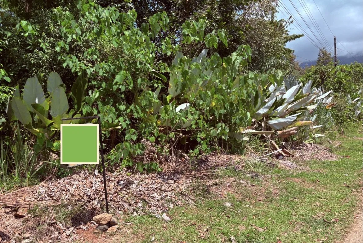 BUILDING PROPERTY WITH PUBLIC ROAD IN FRONT, IN OJOCHAL – 8.32 ACRES, photo 8