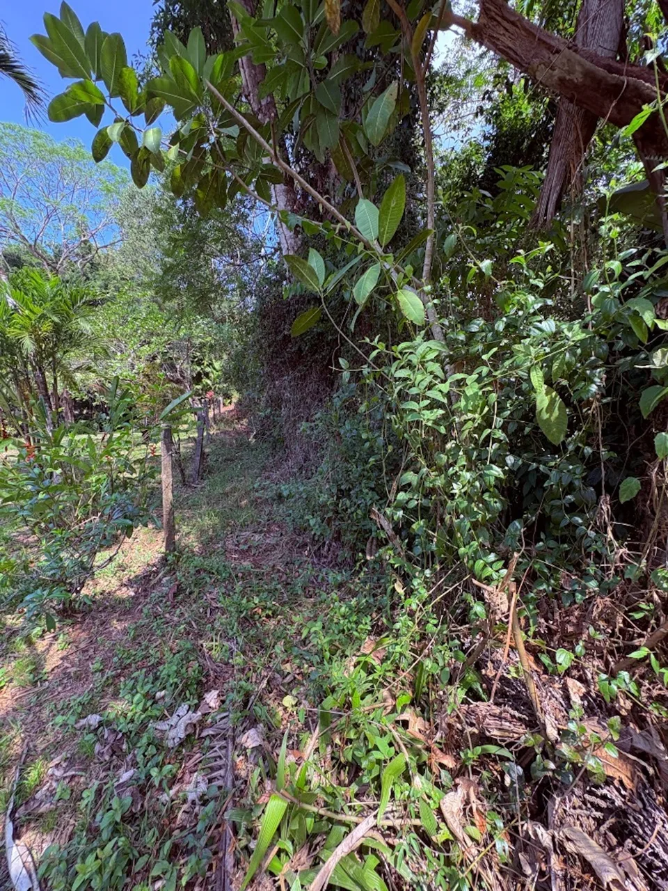 BUILDING PROPERTY WITH PUBLIC ROAD IN FRONT, IN OJOCHAL – 8.32 ACRES, photo 9