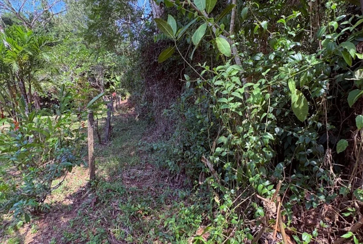 BUILDING PROPERTY WITH PUBLIC ROAD IN FRONT, IN OJOCHAL – 8.32 ACRES, photo 10