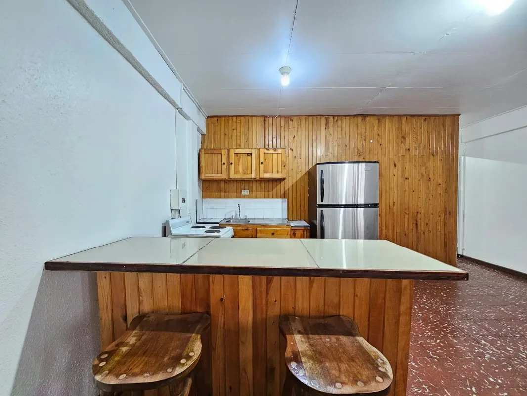 1-Bedroom Apartment for Rent, Semi-Furnished – Los Yoses, photo 7