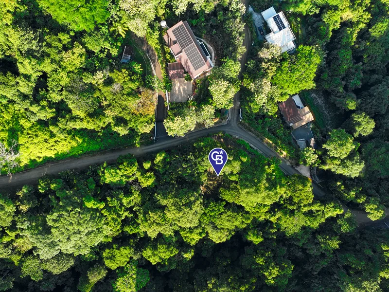 Land For Sale in Dominical, photo 2