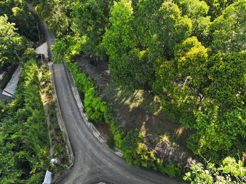 Land For Sale in Dominical, photo 11