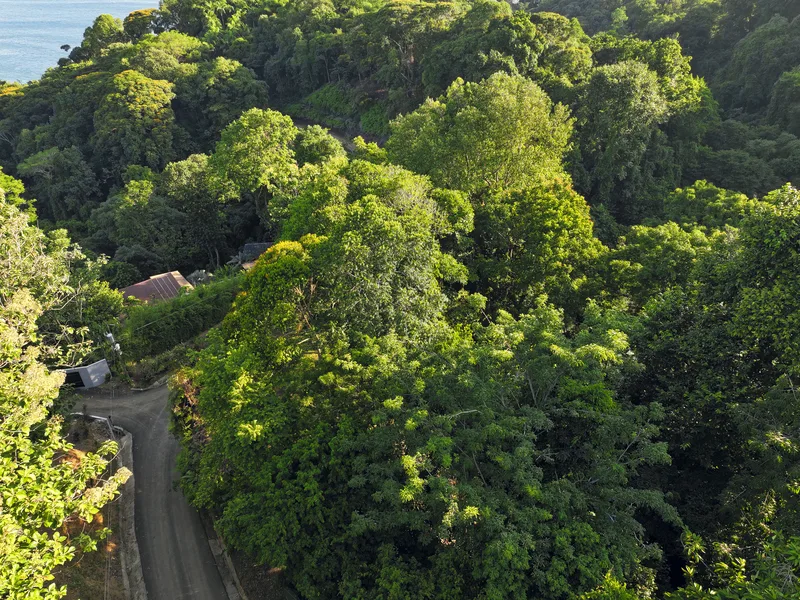 Land For Sale in Dominical, photo 12