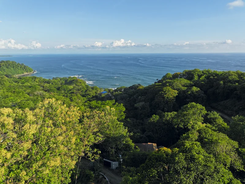 Land For Sale in Dominical, photo 13