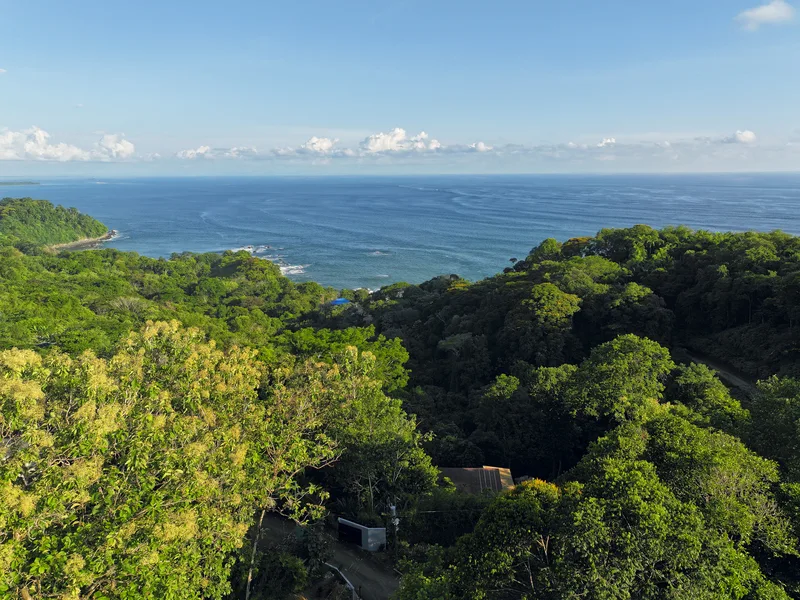 Land For Sale in Dominical, photo 14